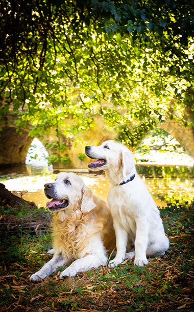 Fotografie Christine Krieger Fotograf Löhne Bad Oeynhausen Herford Fotostudio hochwertige Hochzeitsfotos exklusive Bewerbungsfotos. Familienfotos, Kinderbilder und Portraits sowie Babyfotos, Business Fotos und mehr.