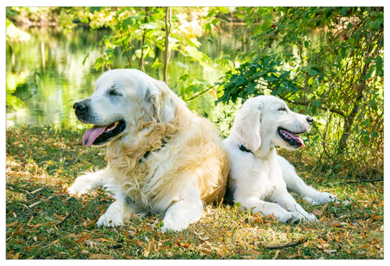 Fotografie Christine Krieger Fotograf Löhne Bad Oeynhausen Herford Fotostudio hochwertige Hochzeitsfotos exklusive Bewerbungsfotos. Familienfotos, Kinderbilder und Portraits sowie Babyfotos, Business Fotos und mehr.