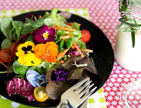 Fotografie Christine Krieger Fotograf Löhne Bad Oeynhausen Herford Fotostudio hochwertige Hochzeitsfotos exklusive Bewerbungsfotos. Familienfotos, Kinderbilder und Portraits sowie Babyfotos, Business Fotos und mehr.