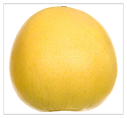 Fotografie Christine Krieger Fotograf Löhne Bad Oeynhausen Herford Fotostudio hochwertige Hochzeitsfotos exklusive Bewerbungsfotos. Familienfotos, Kinderbilder und Portraits sowie Babyfotos, Business Fotos und mehr.