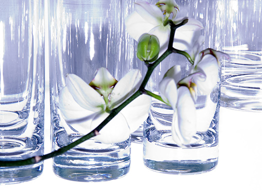 Fotografie Christine Krieger Fotograf Löhne Bad Oeynhausen Herford Fotostudio hochwertige Hochzeitsfotos exklusive Bewerbungsfotos. Familienfotos, Kinderbilder und Portraits sowie Babyfotos, Business Fotos und mehr.