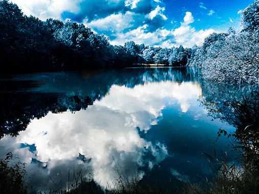 Fotografie Christine Krieger Fotograf Löhne Bad Oeynhausen Herford Fotostudio hochwertige Hochzeitsfotos exklusive Bewerbungsfotos. Familienfotos, Kinderbilder und Portraits sowie Babyfotos, Business Fotos und mehr.