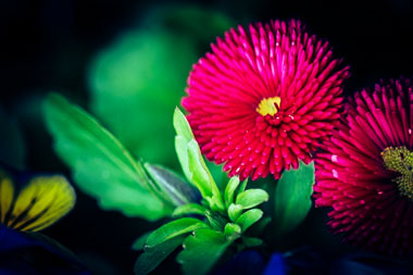 Fotografie Christine Krieger Fotograf Löhne Bad Oeynhausen Herford Fotostudio hochwertige Hochzeitsfotos exklusive Bewerbungsfotos. Familienfotos, Kinderbilder und Portraits sowie Babyfotos, Business Fotos und mehr.